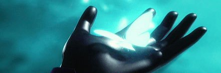 Hawk Moth banner