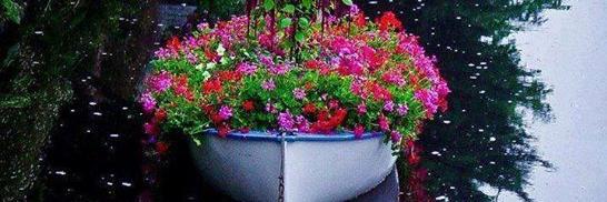 ayman200288's profile banner image