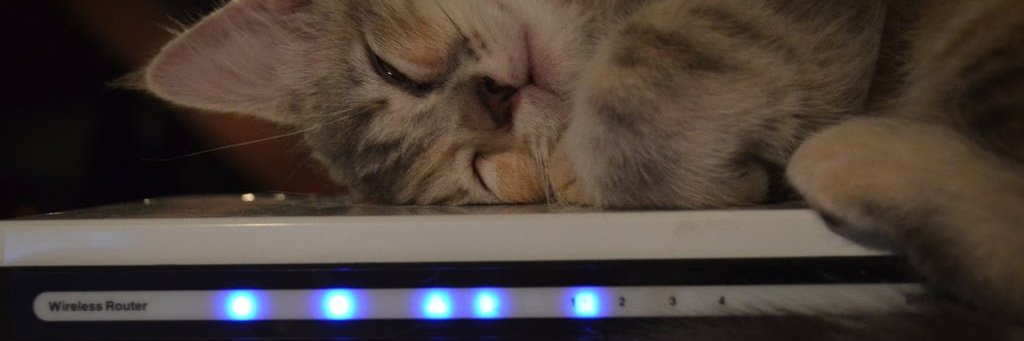 catsonrouters's profile banner image
