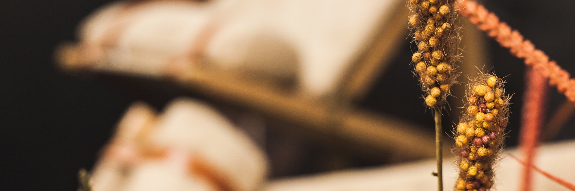 Llarline's profile banner image