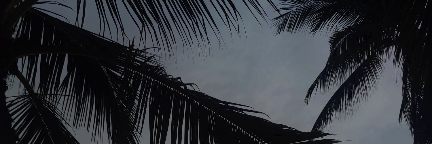 marianis banner