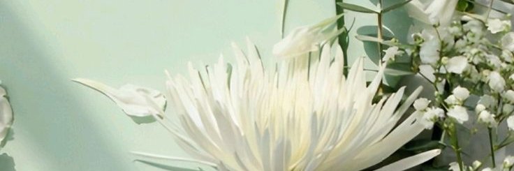 vxenziy's profile banner image