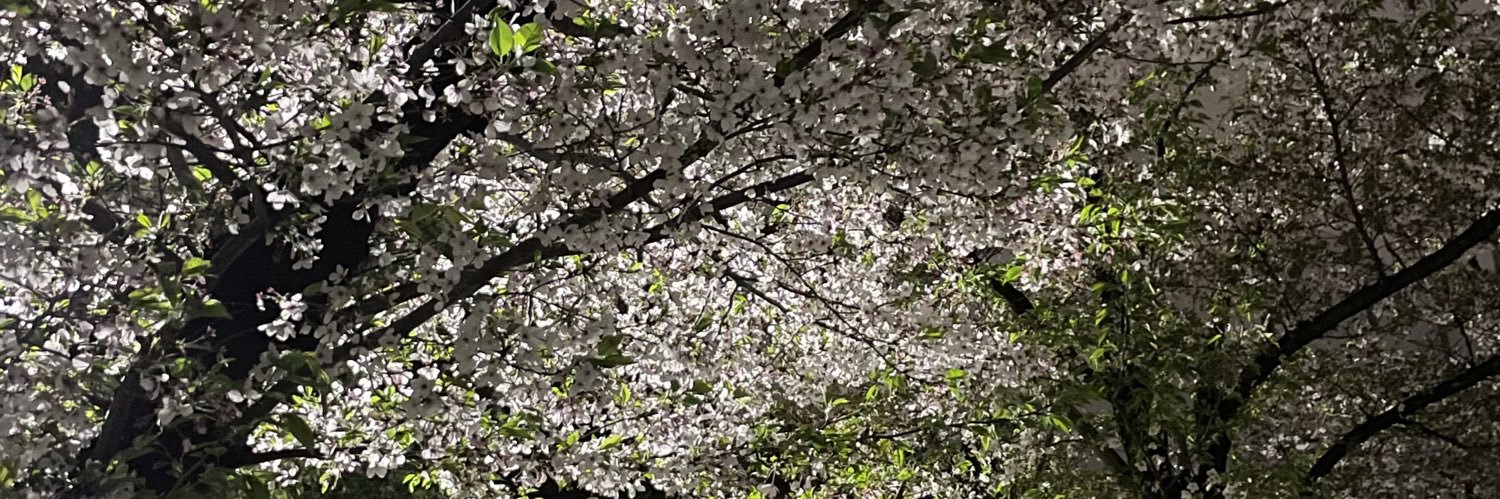 poq017's profile banner image