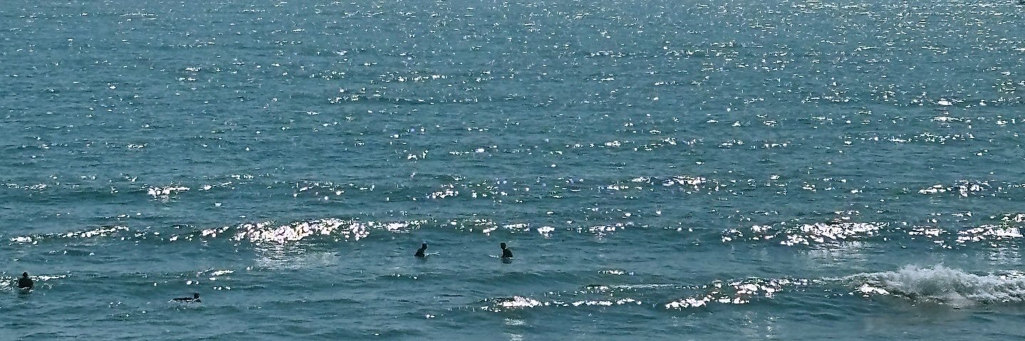 BLUE FUNK;🎄 banner