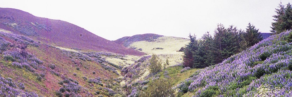 nanaktm's profile banner image