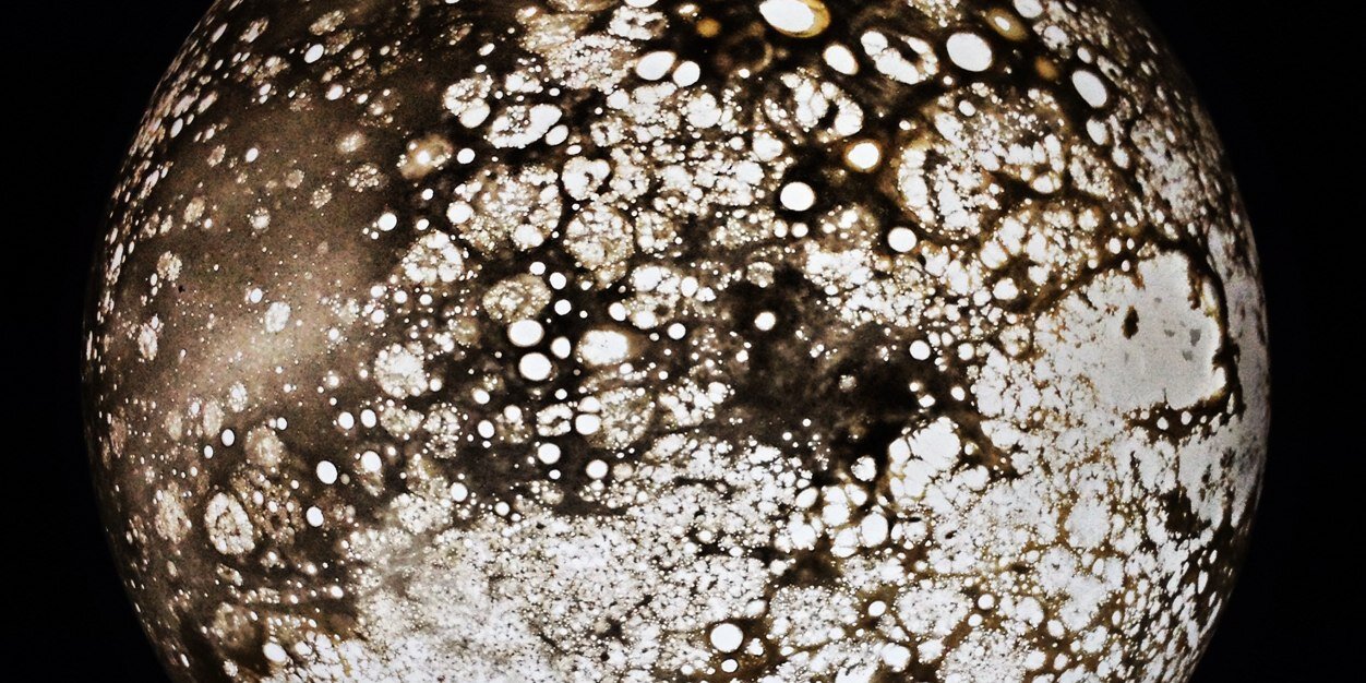 Julia_Colliot's profile banner image