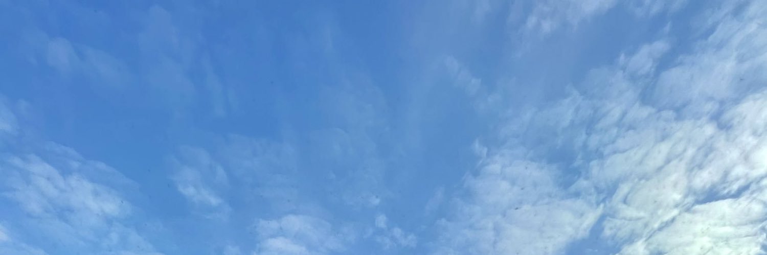shrutijasta's profile banner image