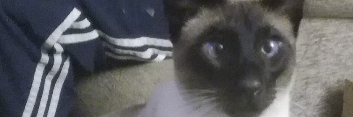 Phyllis Mason. 🏴󠁧󠁢󠁷󠁬󠁳󠁿🇬🇧🇮🇱RespectMySex banner