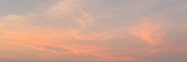 milddlim Profile Banner