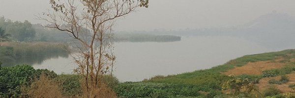DPalmerFCDO Profile Banner