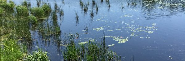 Wildlife and Landscape Science Profile Banner