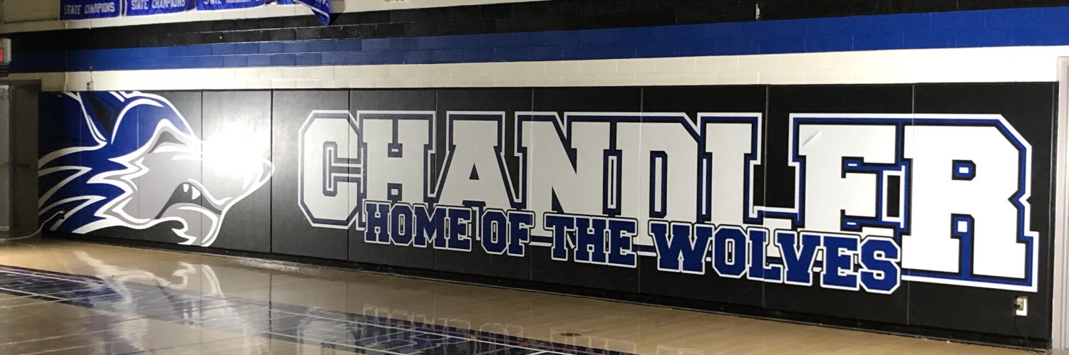 Lady Wolves Basketball banner
