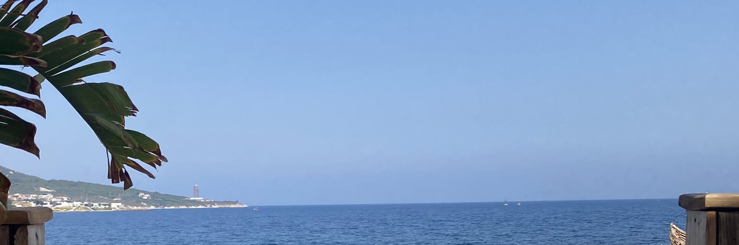 sdyerdogan's profile banner image