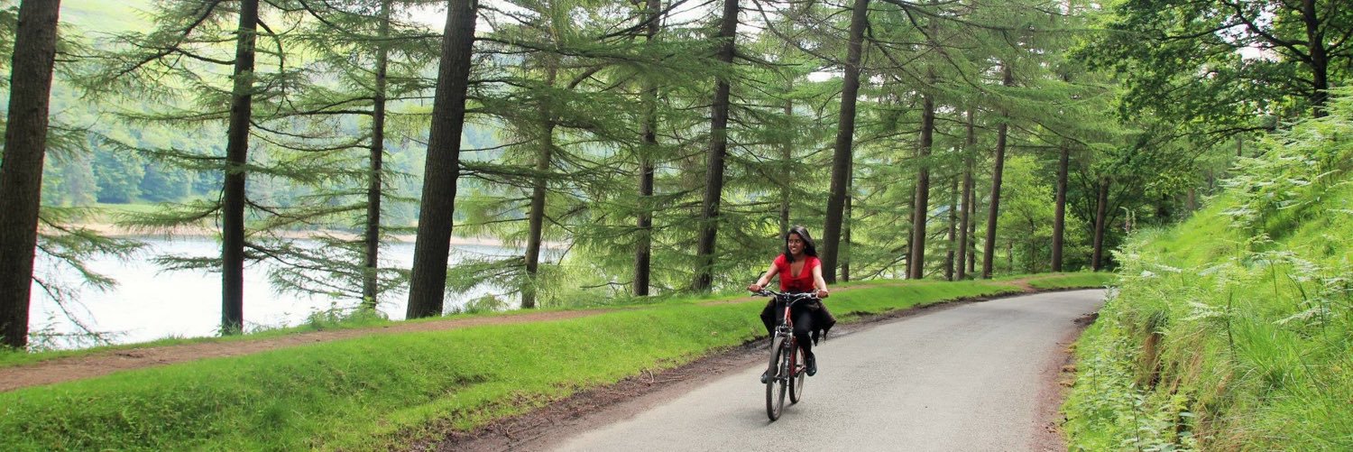 sonia_hoque's profile banner image
