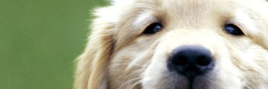 TheLifeOfCathy's profile banner image