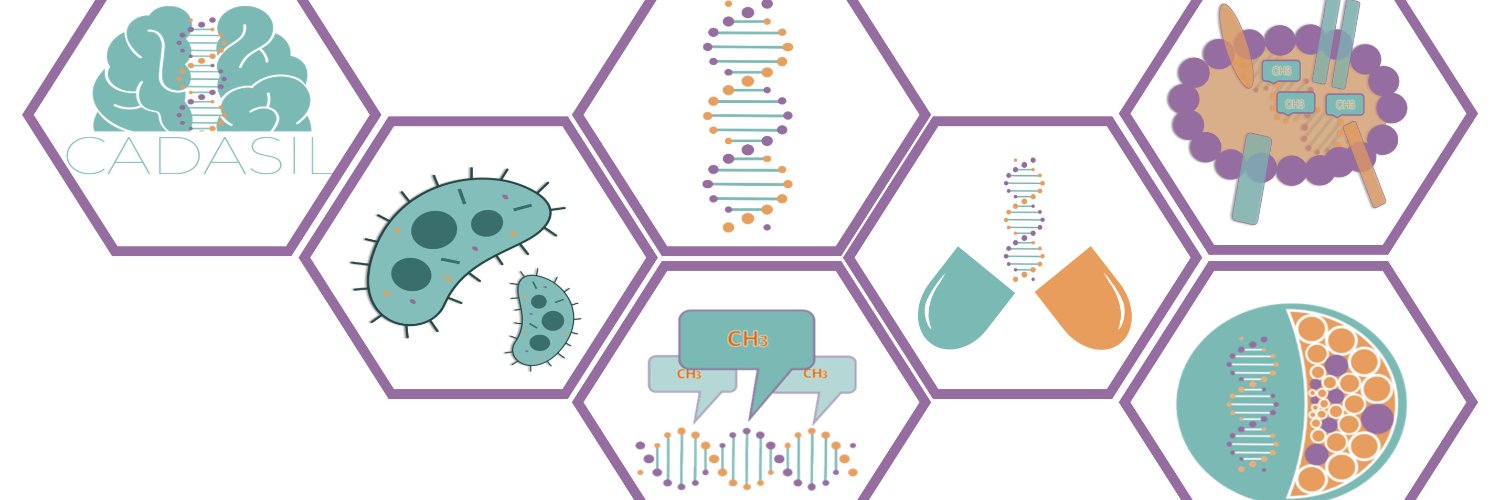 Stroke Pharmacogenomics and Genetics banner