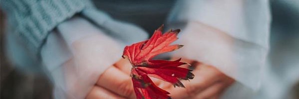 nonii_NF's profile banner image