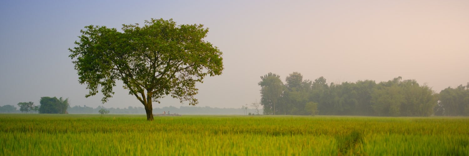 Debasish Biswas banner