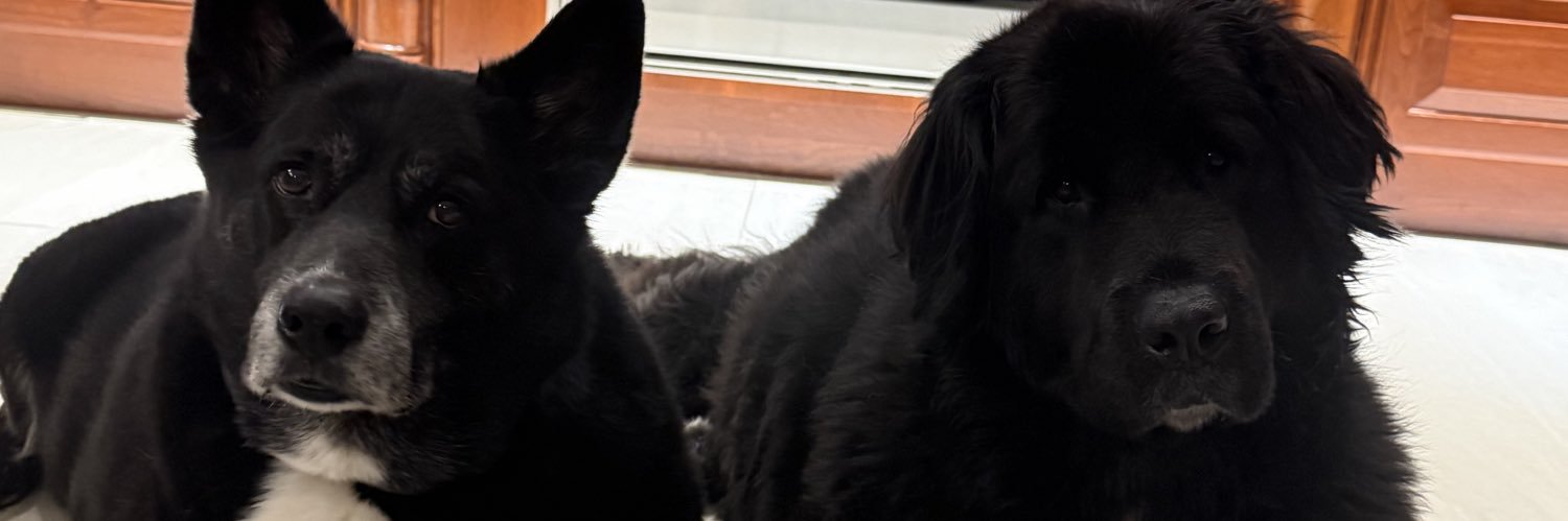 nwatts7's profile banner image