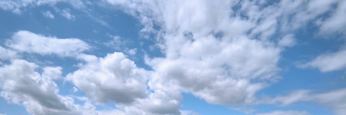 shintagyty's profile banner image