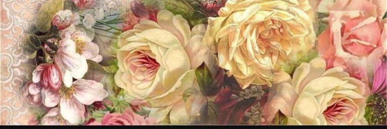 carrieguse's profile banner image