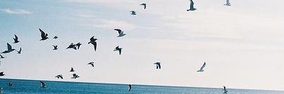manal_m's profile banner image