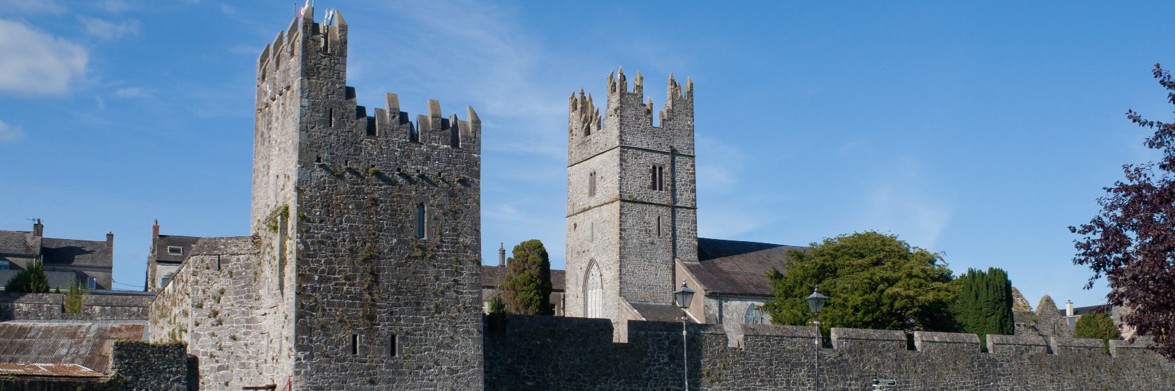 Fethard Historical Society banner