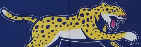 StJacintaDPCDSB Profile Banner