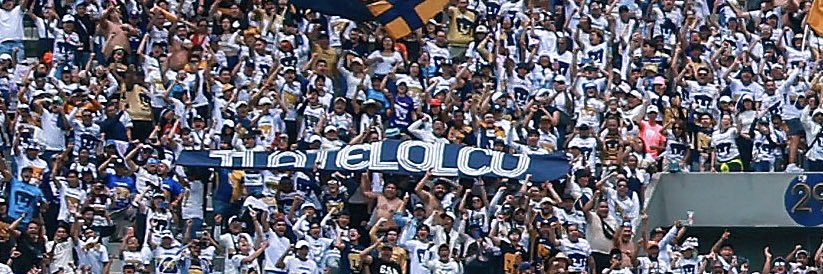 Alejandro banner
