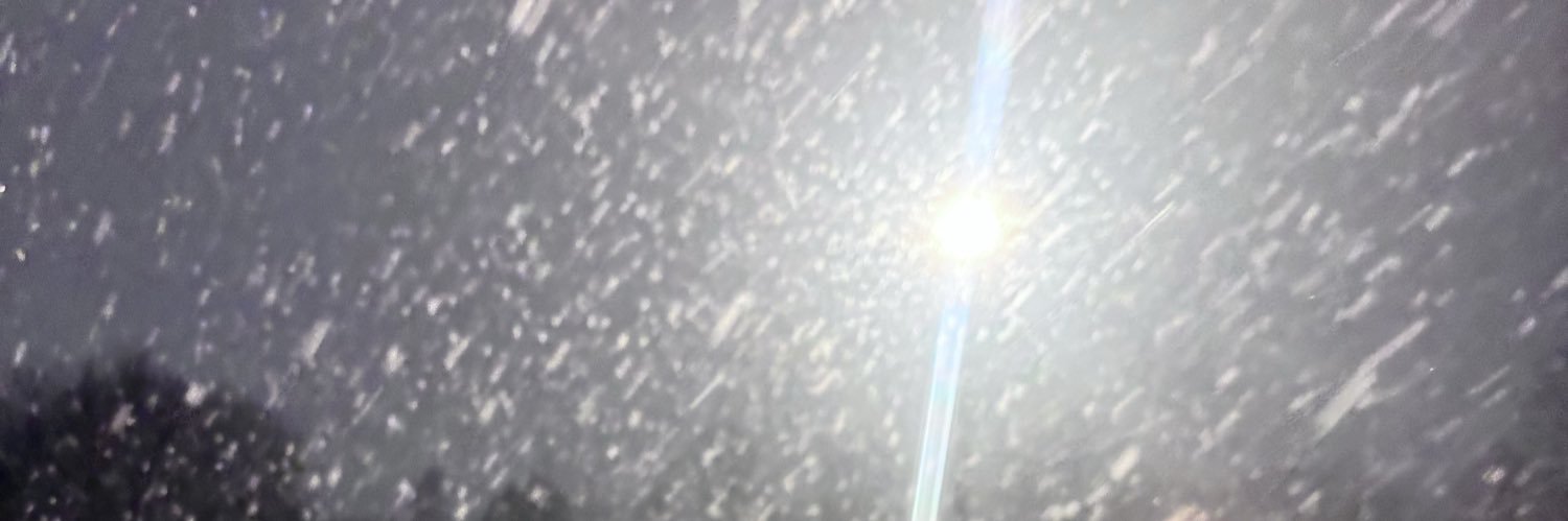 BertramNick's profile banner image