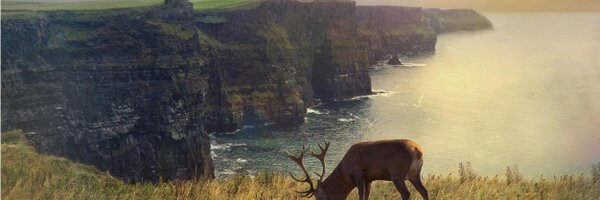 daviek19 Profile Banner