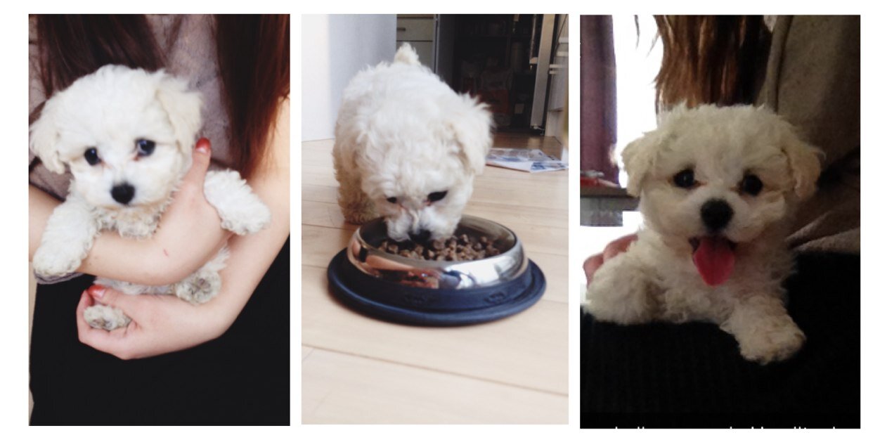 Sarah ♡ banner