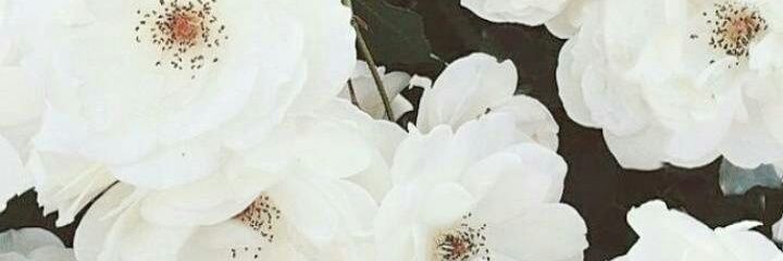 FirdaYonanda's profile banner image