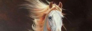 EslamRa54201029's profile banner image