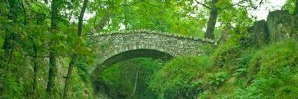 CazCutts1 Profile Banner