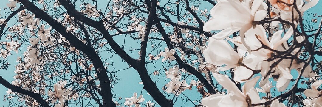 ChenceHxll's profile banner image