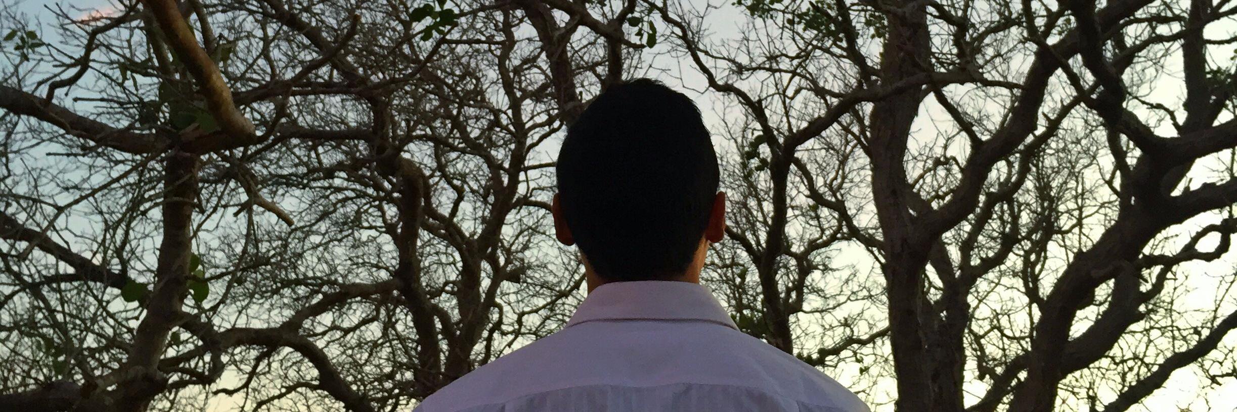dodypranata's profile banner image