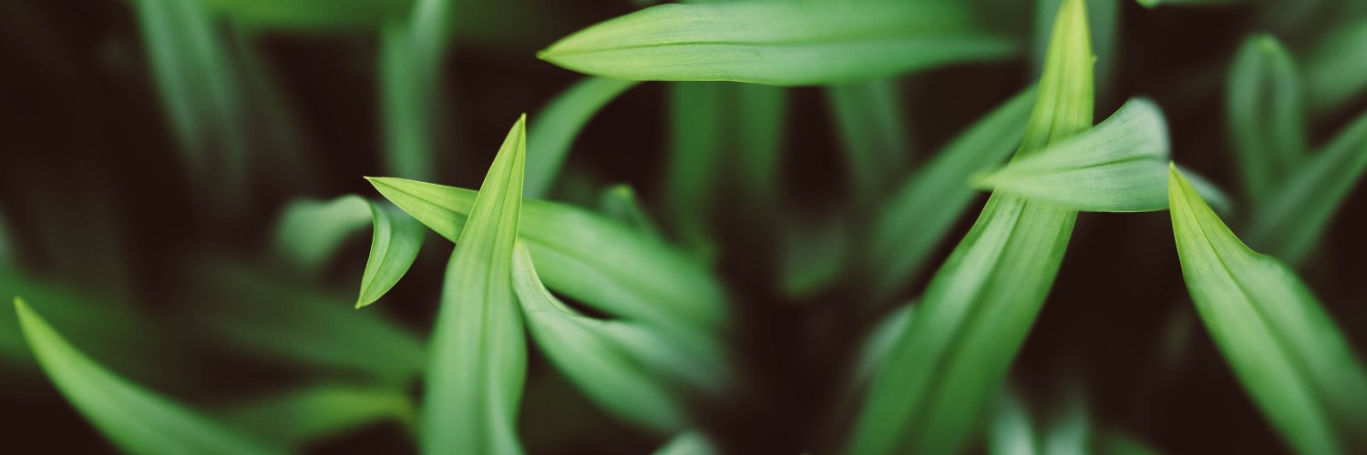 FluffpotBot's profile banner image