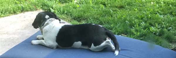 CallieG1016 Profile Banner