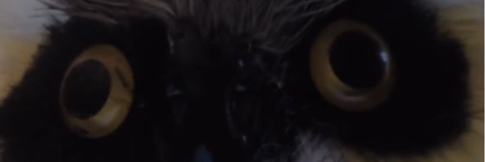 JUSTIMGE's profile banner image