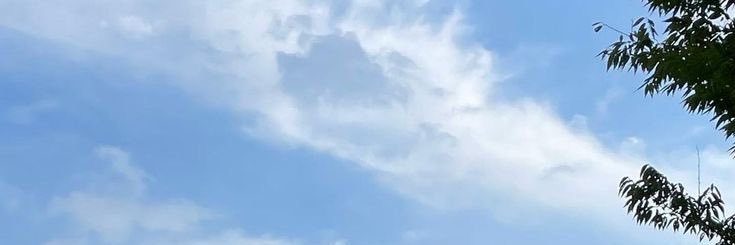 Ndon. banner