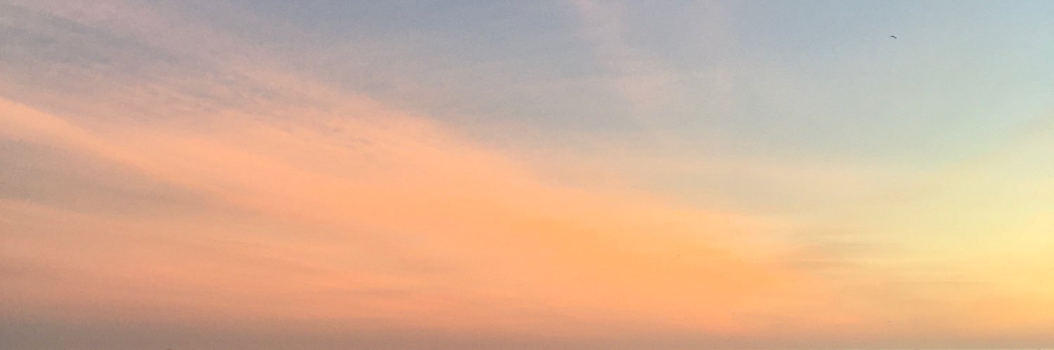 LaraKortmann's profile banner image