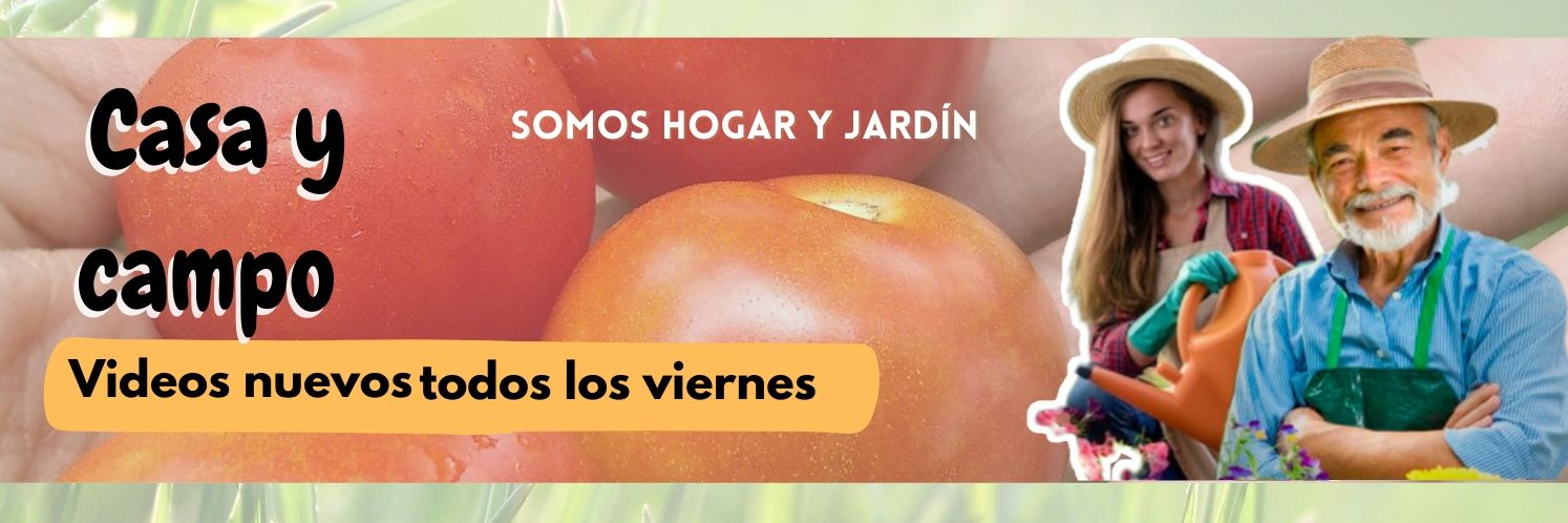 luisanagb7's profile banner image