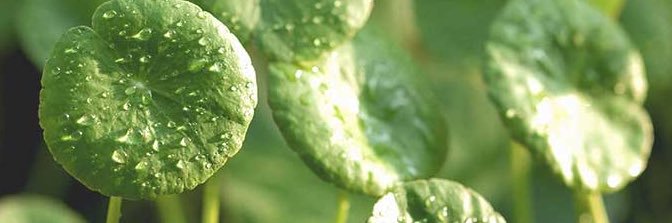 Ms A L B A 🍵🌱 📚 banner