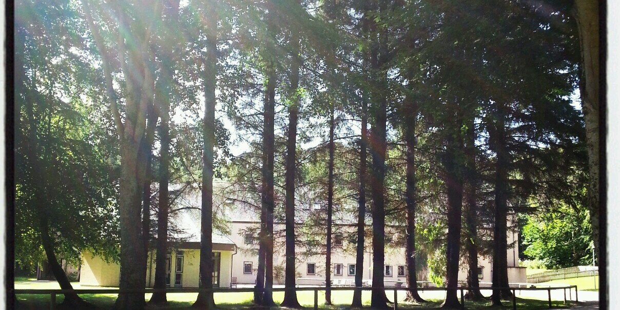 Beverley Vong banner