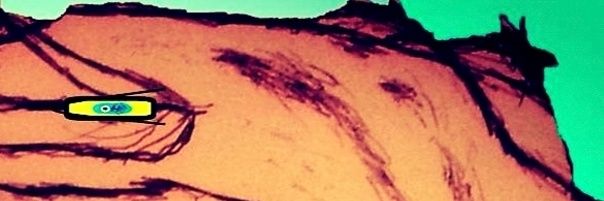HaksPheenom's profile banner image