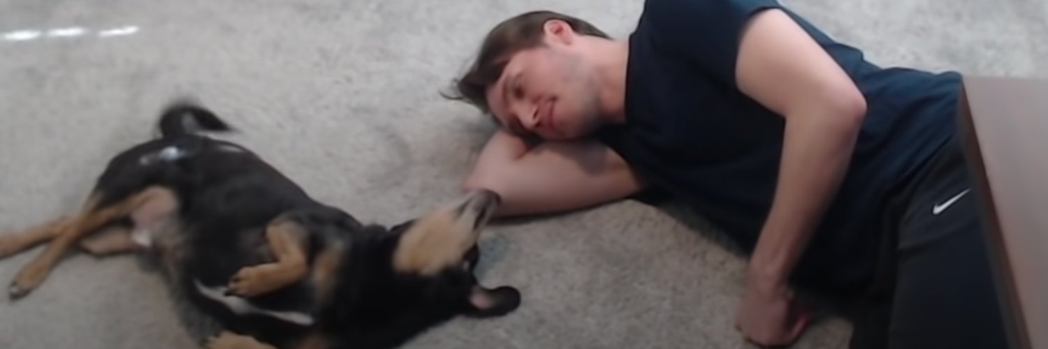 RarePupper banner