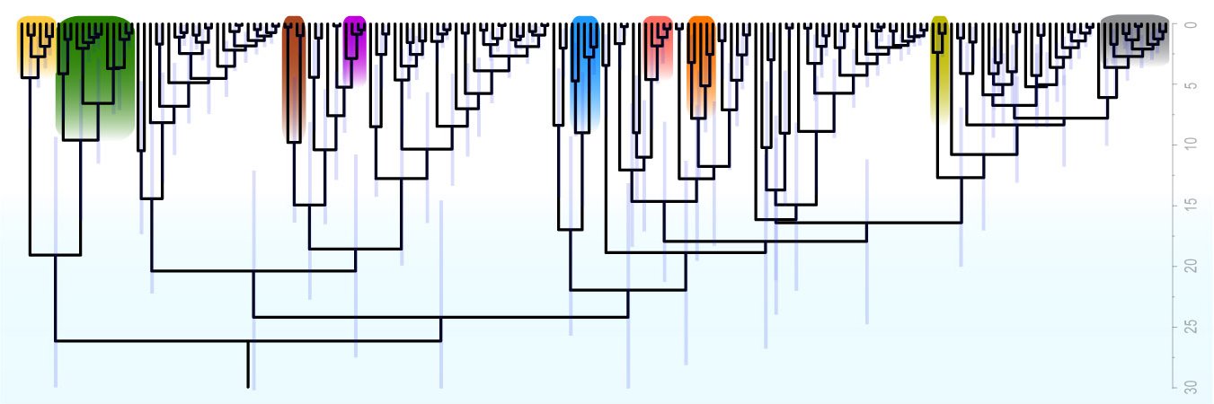 Elizabeth Murray banner