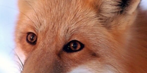 LiveKleveland's profile banner image