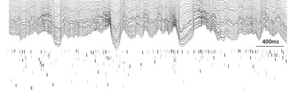 SAbbaspoor Profile Banner